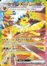Terastal Festival Booster Boks thumbnail