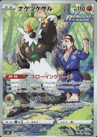 Passimian (JP) 203/184 - VMax Climax